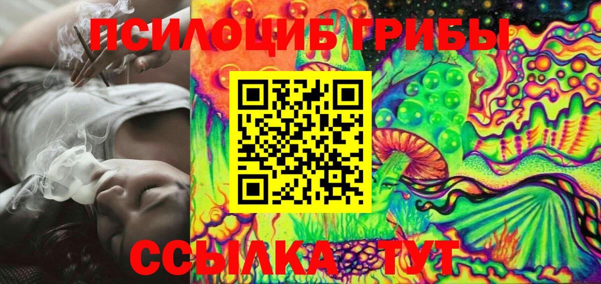 Тара  Псилоцибиновые грибы мицелий  Вход с VPN  Галлюциногенные грибы GOLDEN TEACHER 