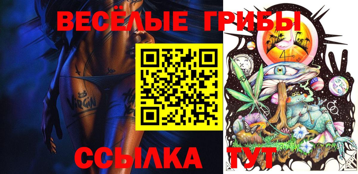 Псилоцибиновые грибы мицелий Тара
